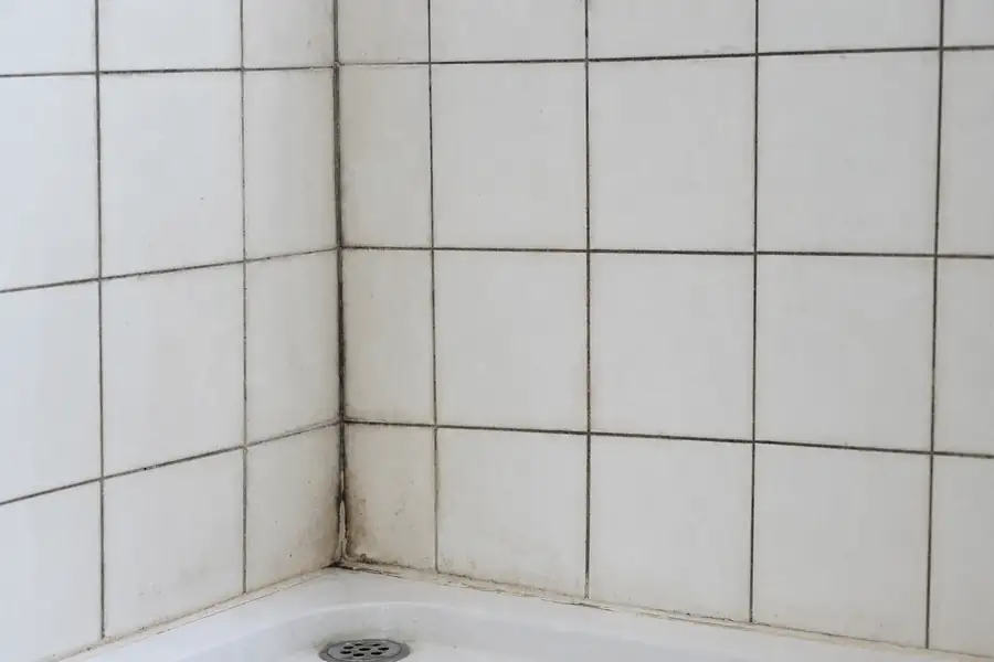 Tiled shower corner with darkened mildew-stained grout lines around white tiles