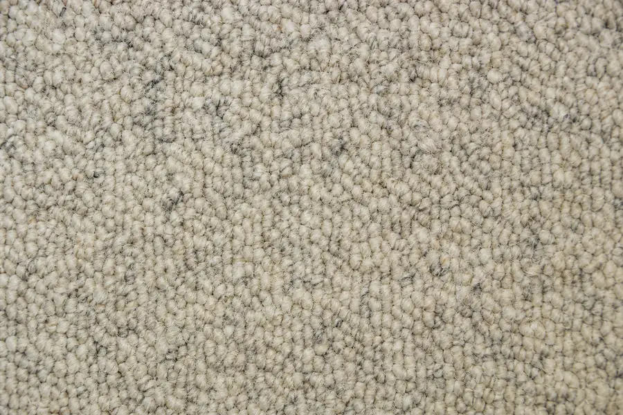 Of looped Berber carpet texture in flecked cream and gray tones