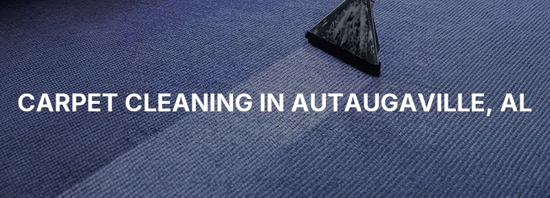 Carpet Cleaning in Autaugaville, AL