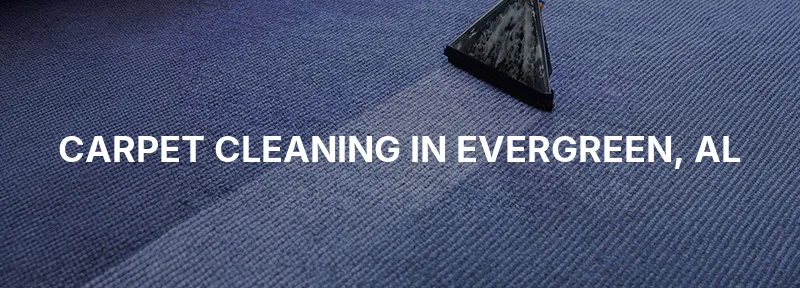 Carpet Cleaning in Evergreen, AL