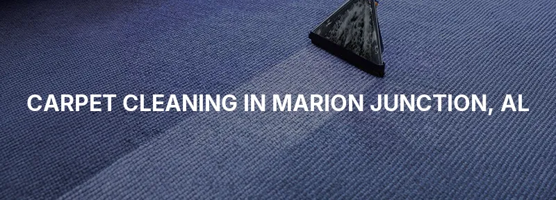 Carpet Cleaning in Marion Junction, AL