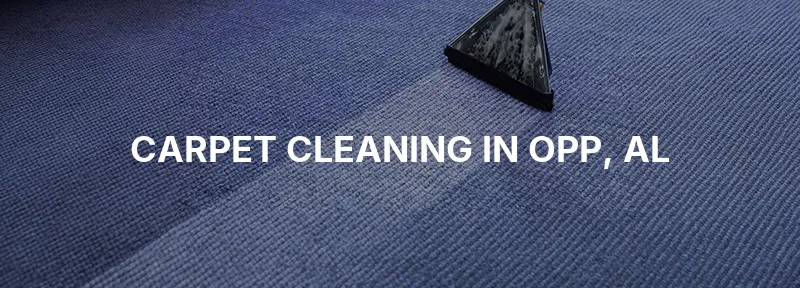 Carpet Cleaning in Opp, AL