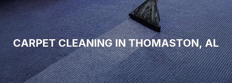 Carpet Cleaning in Thomaston, AL