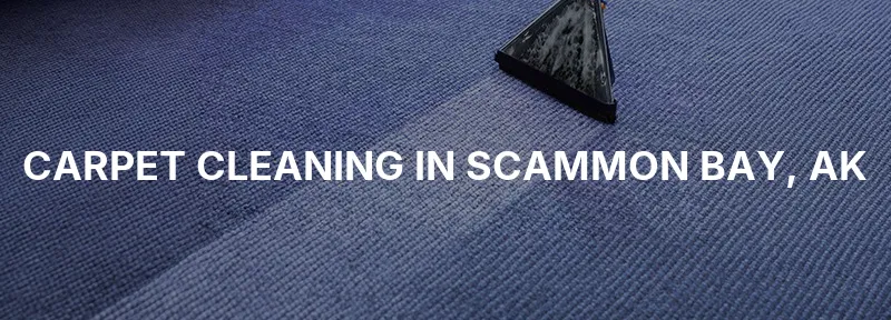 Carpet Cleaning in Scammon Bay, AK