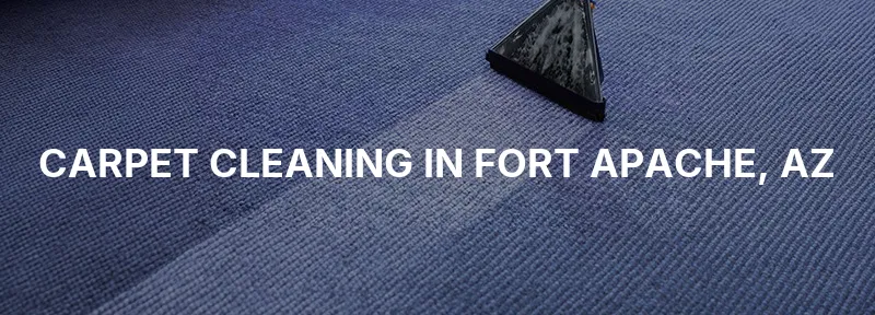 Carpet Cleaning in Fort Apache, AZ