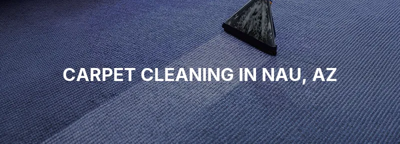 Carpet Cleaning in NAU, AZ