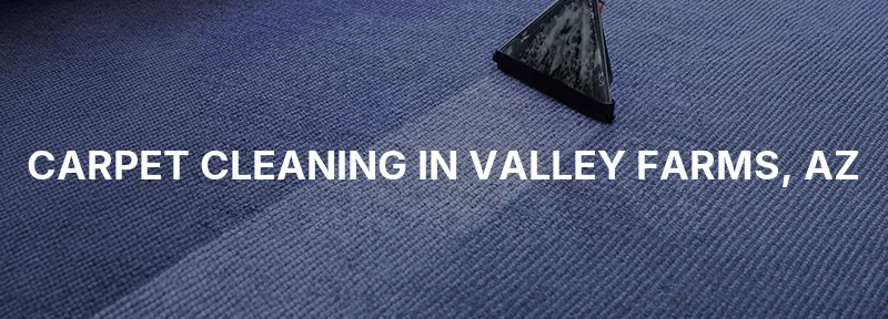 Carpet Cleaning in Valley Farms, AZ