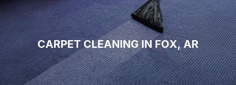 Carpet Cleaning in Fox, AR