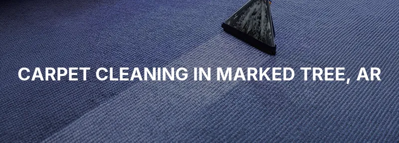 Carpet Cleaning in Marked Tree, AR