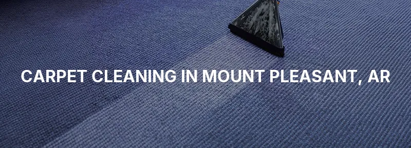 Carpet Cleaning in Mount Pleasant, AR