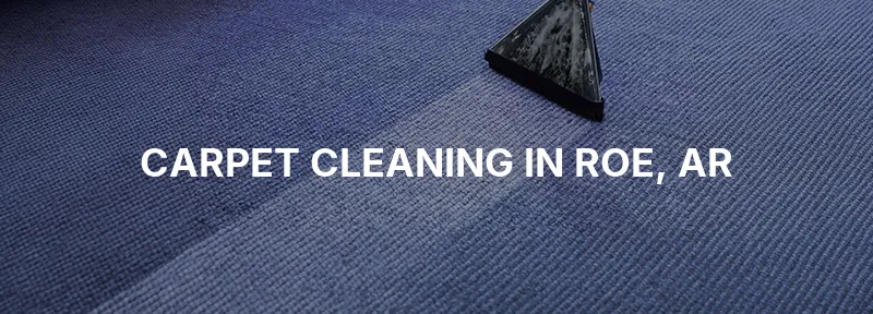 Carpet Cleaning in Roe, AR