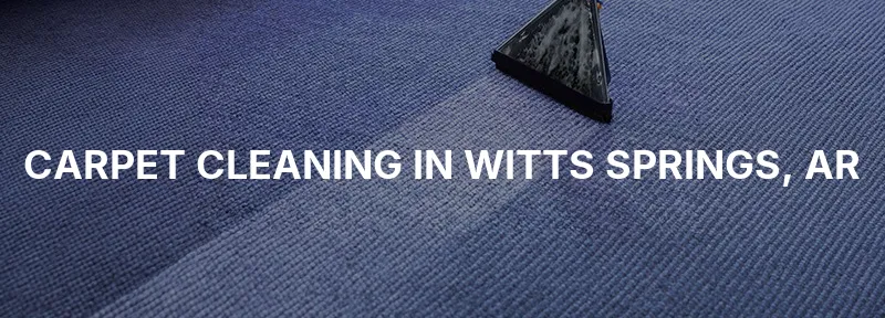 Carpet Cleaning in Witts Springs, AR