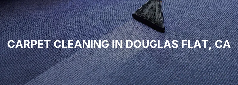 Carpet Cleaning in Douglas Flat, CA