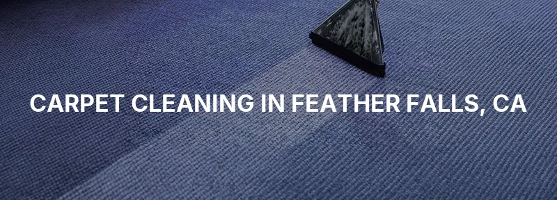 Carpet Cleaning in Feather Falls, CA