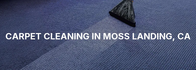 Carpet Cleaning in Moss Landing, CA