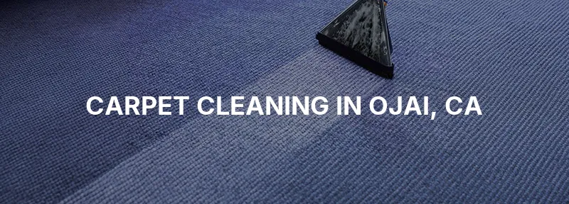 Carpet Cleaning in Ojai, CA