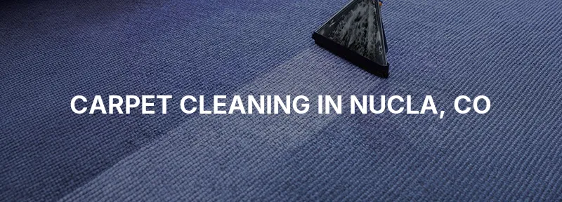 Carpet Cleaning in Nucla, CO