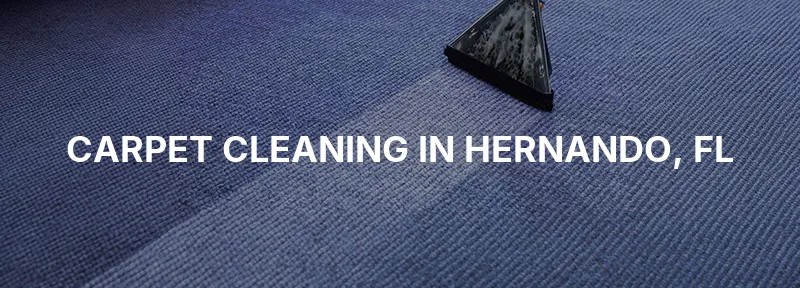 Carpet Cleaning in Hernando, FL