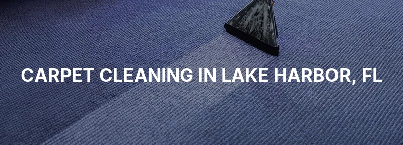 Carpet Cleaning in Lake Harbor, FL