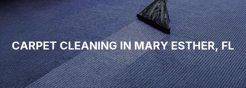 Carpet Cleaning in Mary Esther, FL