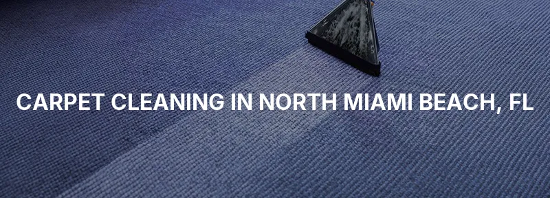 Carpet Cleaning in North Miami Beach, FL