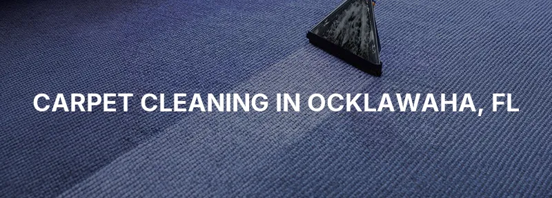Carpet Cleaning in Ocklawaha, FL