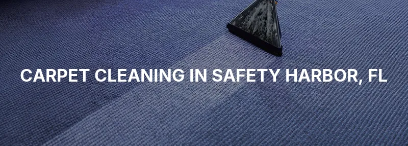 Carpet Cleaning in Safety Harbor, FL