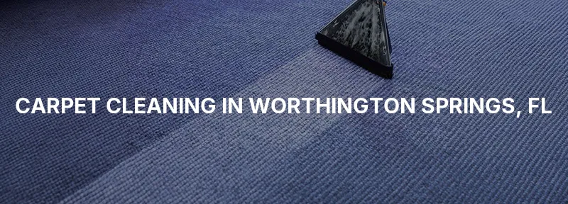 Carpet Cleaning in Worthington Springs, FL