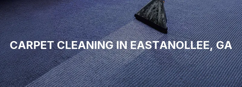Carpet Cleaning in Eastanollee, GA
