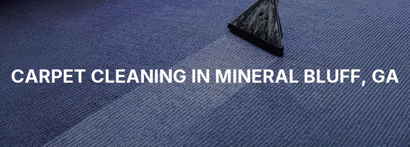 Carpet Cleaning in Mineral Bluff, GA