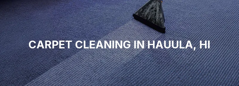 Carpet Cleaning in Hauula, HI
