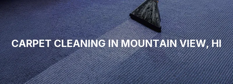 Carpet Cleaning in Mountain View, HI