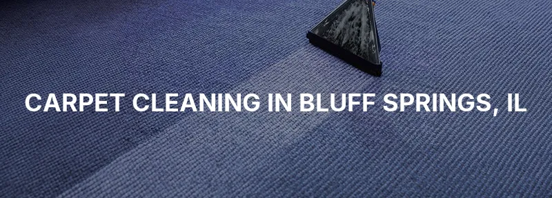 Carpet Cleaning in Bluff Springs, IL