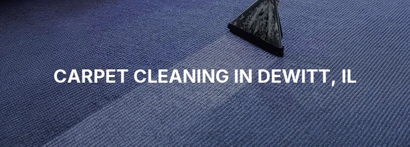 Carpet Cleaning in Dewitt, IL