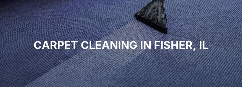 Carpet Cleaning in Fisher, IL