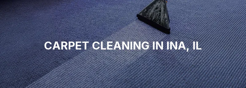 Carpet Cleaning in Ina, IL