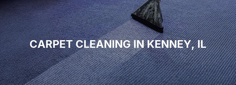 Carpet Cleaning in Kenney, IL
