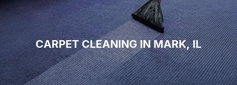 Carpet Cleaning in Mark, IL