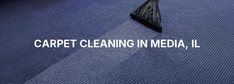 Carpet Cleaning in Media, IL