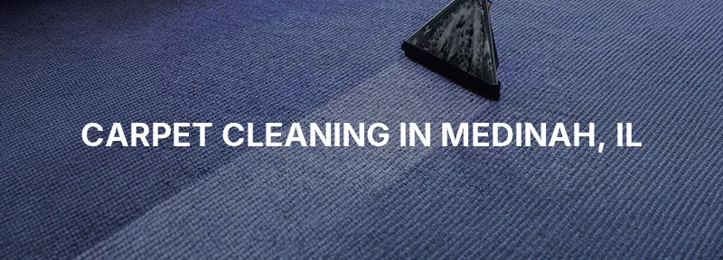 Carpet Cleaning in Medinah, IL