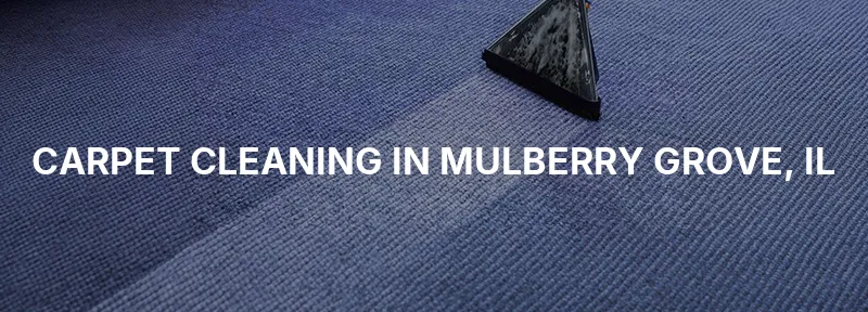 Carpet Cleaning in Mulberry Grove, IL