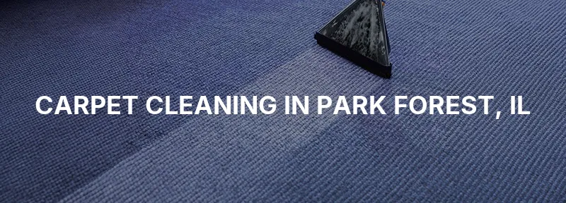 Carpet Cleaning in Park Forest, IL