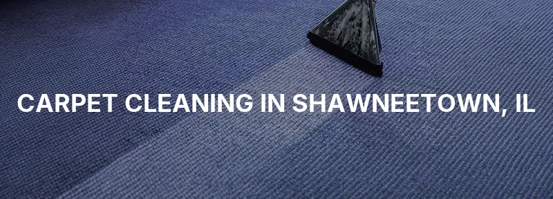 Carpet Cleaning in Shawneetown, IL
