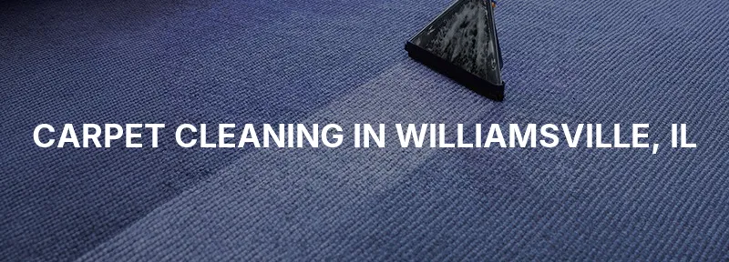 Carpet Cleaning in Williamsville, IL