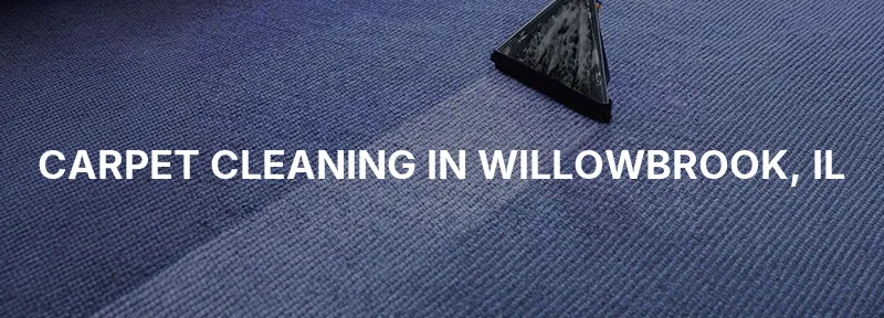 Carpet Cleaning in Willowbrook, IL
