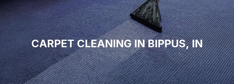Carpet Cleaning in Bippus, IN