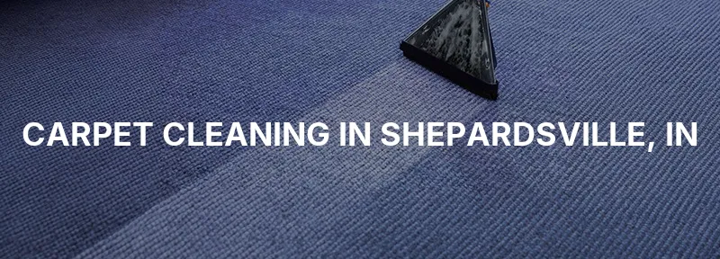 Carpet Cleaning in Shepardsville, IN