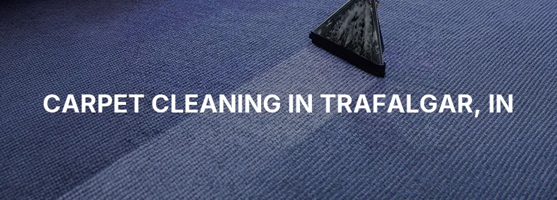 Carpet Cleaning in Trafalgar, IN
