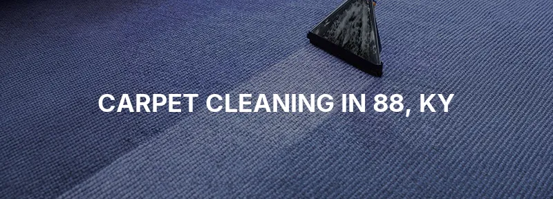 Carpet Cleaning in 88, KY