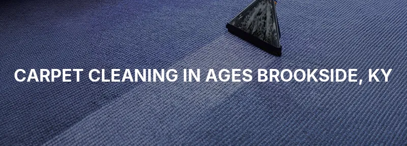 Carpet Cleaning in Ages Brookside, KY